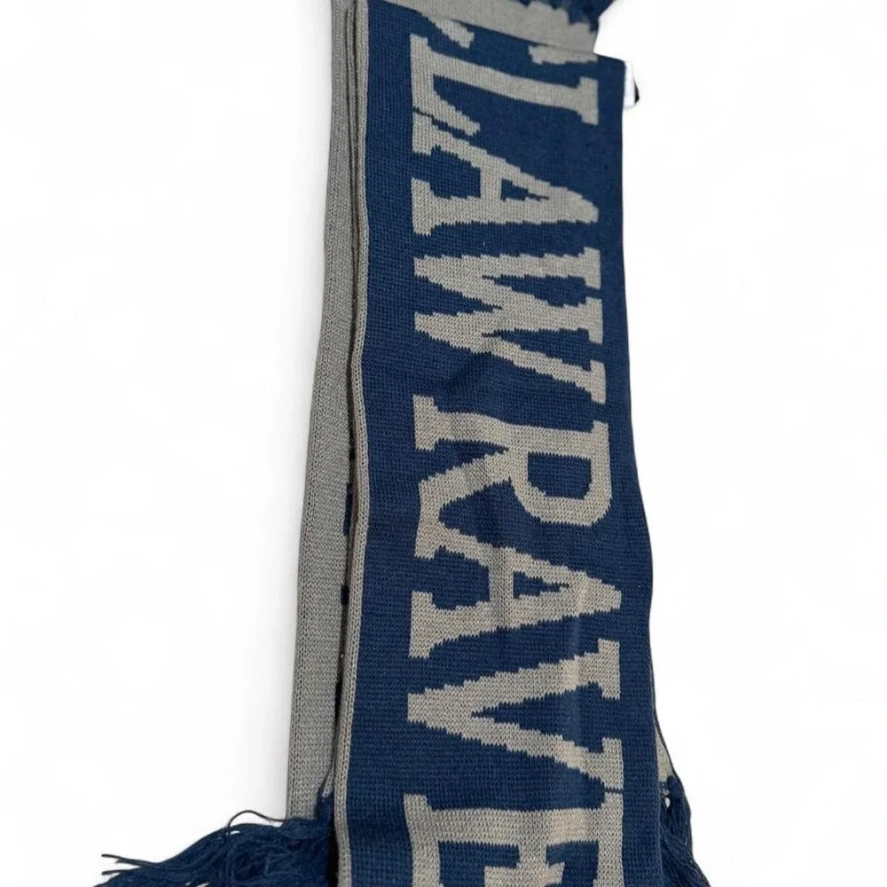 Ravenclaw Harry Potter scarf